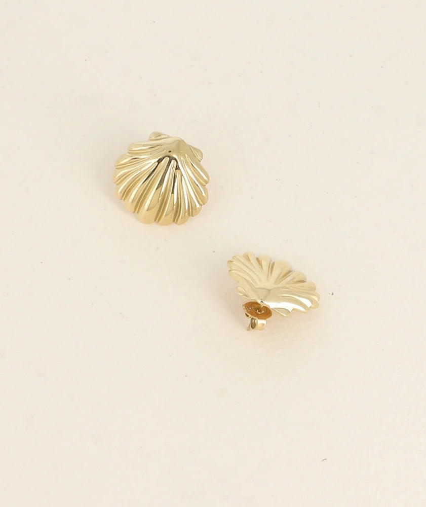 
                      
                        MINI SHELL
                      
                    